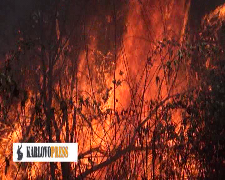 Голям пожар гори край Сопот и Анево (ВИДЕО)
