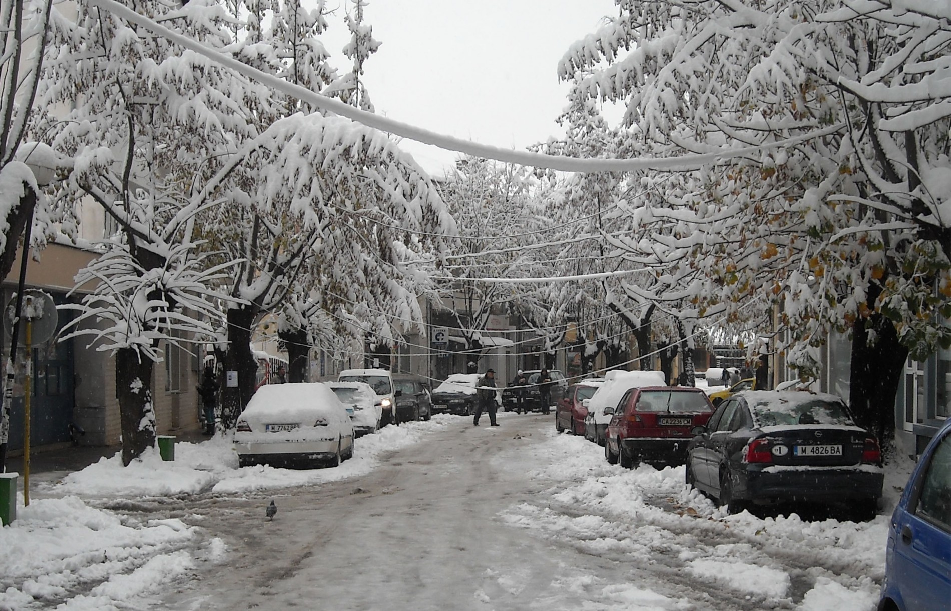 Сняг падна в Монтанско и Видинско