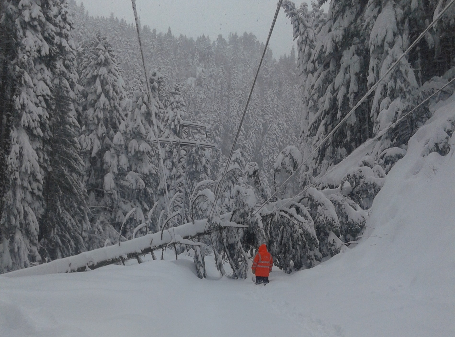 След обилния снеговалеж: Без ток са  80% от населените места в община Карлово