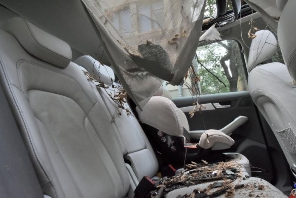 Млада шофьорка пострада леко при катастрофа на пътя Ръжево - Черноземен
