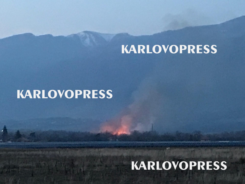 Пожар бушува край рибарник в Соколица