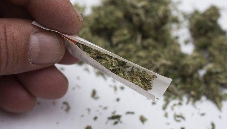Полицията в Хисаря задържа 17 годишен за притежание на марихуана и коноп