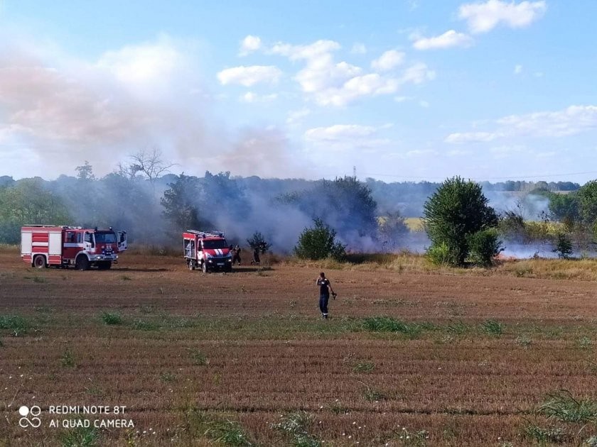 Потушиха пожарът край Мало Крушево