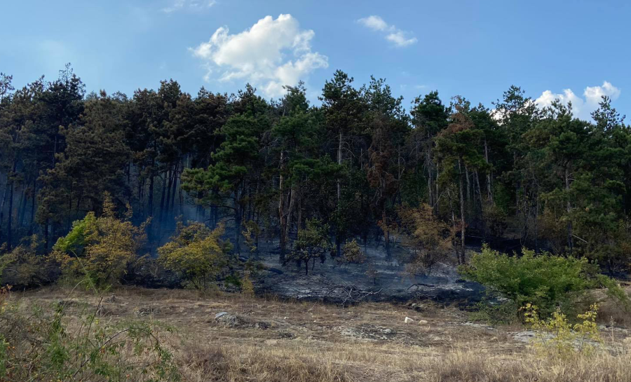 Пожарът край Михилци е овладян