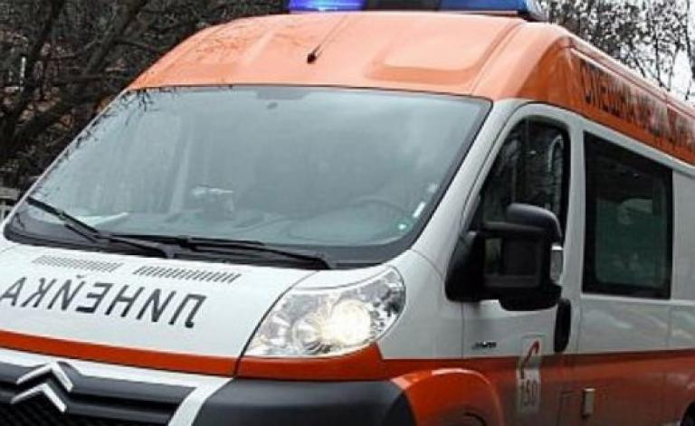 Жена и две деца са с леки наранявания след катастрофата край Московец