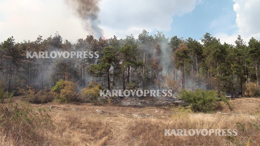 Пожарникари и горски служители локализираха голям пожар в Хисарско