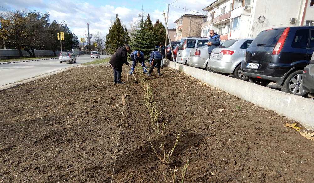 Община Карлово започна зацветяване на зелени площи в града