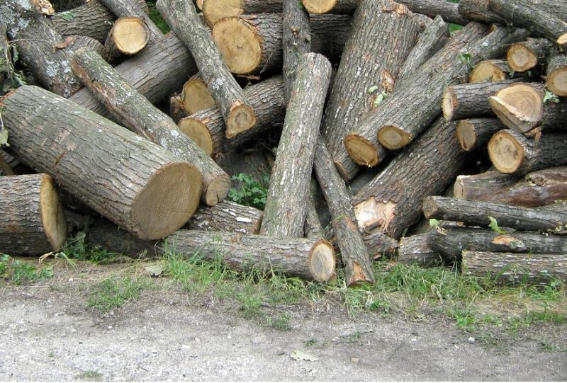 44-годишен карловец е задържан за серия измами с доставка за евтини дърва за огрев