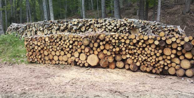 В Община Сопот започна записването за закупуване на дърва