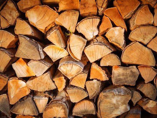 Община Карлово започва изготвяне на списъците за осигуряване на дърва за огрев
