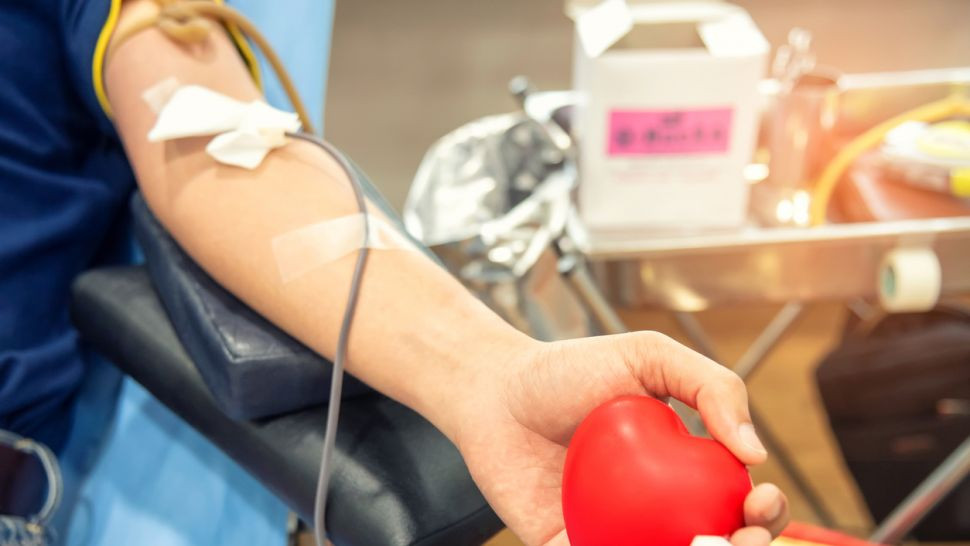 В Труд организират кампания по кръводаряване за пострадалото дете в Старосел
