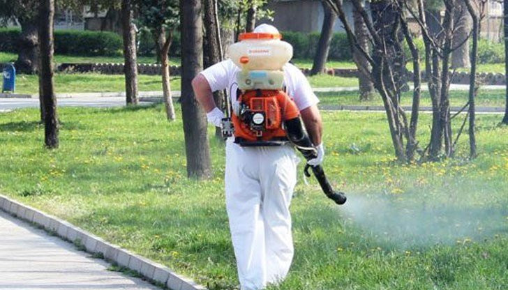 Община Карлово ще пръска срещу комари