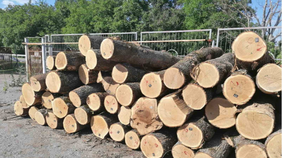 Започва раздаване на дърва в пострадалите села от наводненията