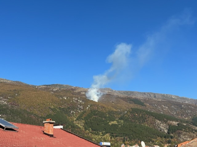 Отново пожар в гората над Карлово